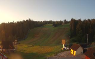Suche ski dolna stacja - 04-08-2026 03:58