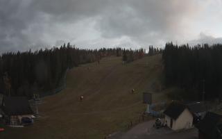Suche ski dolna stacja - 26-10-2026 15:54
