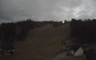 Suche ski dolna stacja - 26-10-2026 16:01