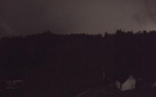 Suche ski dolna stacja - 26-10-2026 16:29