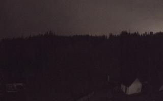 Suche ski dolna stacja - 26-10-2026 16:50