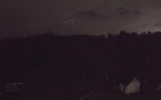 Suche ski dolna stacja - 26-10-2026 17:19
