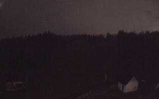 Suche ski dolna stacja - 26-10-2026 17:33