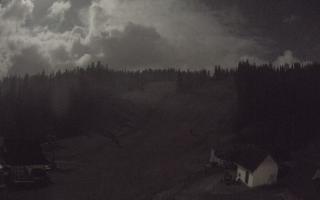 Suche ski dolna stacja - 26-10-2026 19:04