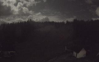 Suche ski dolna stacja - 26-10-2026 19:11