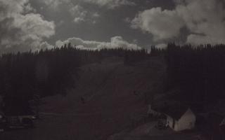 Suche ski dolna stacja - 26-10-2026 19:53
