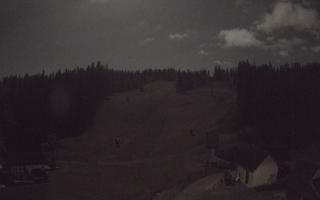 Suche ski dolna stacja - 26-10-2026 20:43