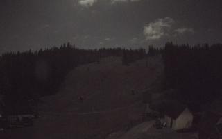 Suche ski dolna stacja - 26-10-2026 20:57