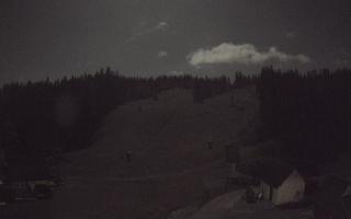 Suche ski dolna stacja - 26-10-2026 21:04