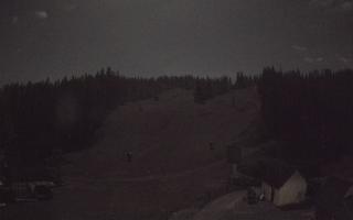 Suche ski dolna stacja - 26-10-2026 21:11