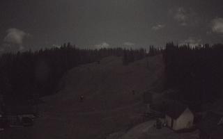 Suche ski dolna stacja - 26-10-2026 21:39