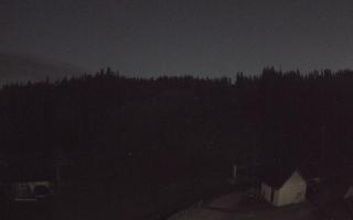 Suche ski dolna stacja - 28-10-2026 16:21