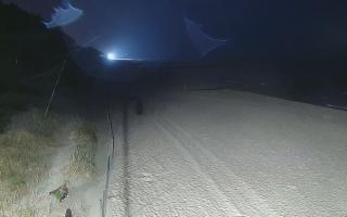 Dźwirzyno - zachodnia strona pla - 04-05-2025 02:07