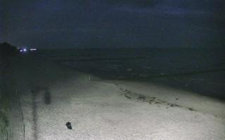 Dźwirzyno - zachodnia strona pla - 28-07-2026 21:11