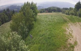 Laskowa - 17-06-2025 08:24