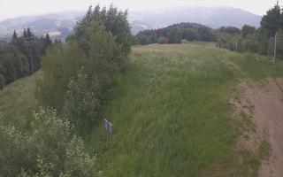 Laskowa - 17-06-2025 08:54