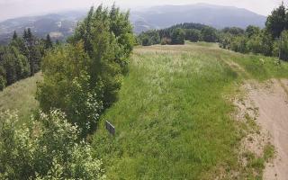 Laskowa - 17-06-2025 09:10