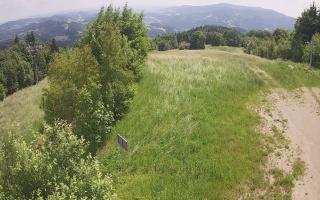 Laskowa - 17-06-2025 10:11