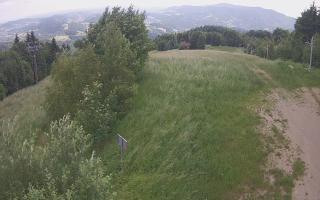 Laskowa - 17-06-2025 10:42