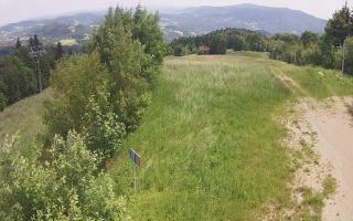 Laskowa - 17-06-2025 11:28