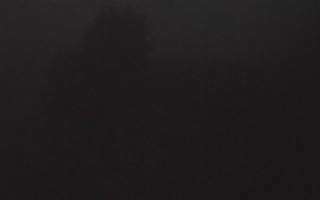Laskowa - 17-06-2025 01:44