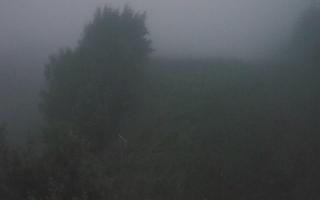 Laskowa - 17-06-2025 01:59