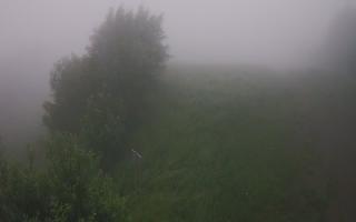 Laskowa - 17-06-2025 02:15