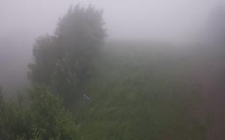 Laskowa - 17-06-2025 02:30