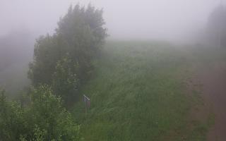 Laskowa - 17-06-2025 04:48