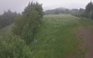 Laskowa - 17-06-2025 05:35