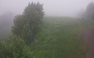 Laskowa - 17-06-2025 05:04