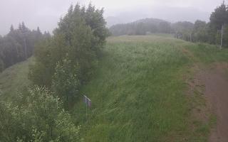 Laskowa - 17-06-2025 05:50