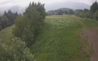 Laskowa - 17-06-2025 06:21