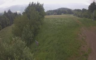 Laskowa - 17-06-2025 06:36