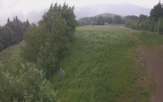 Laskowa - 17-06-2025 06:05