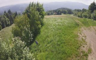 Laskowa - 17-06-2025 07:53