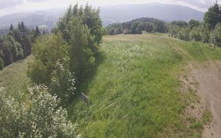 Laskowa - 17-06-2025 07:07