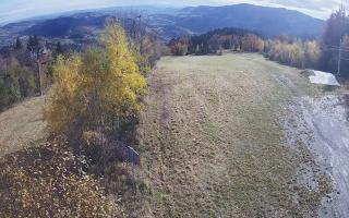 Laskowa - 29-10-2025 08:51