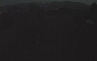 Laskowa - 01-11-2025 16:01