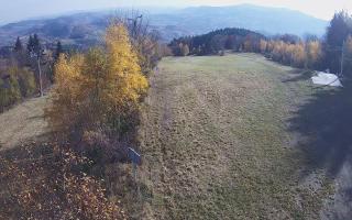 Laskowa - 02-11-2025 09:26