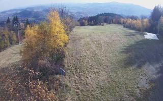 Laskowa - 02-11-2025 09:42