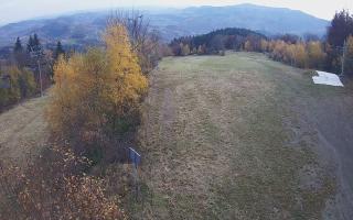 Laskowa - 02-11-2025 09:57