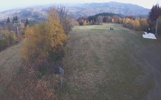 Laskowa - 02-11-2025 12:46