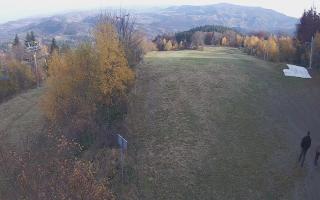 Laskowa - 02-11-2025 13:02