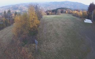 Laskowa - 02-11-2025 13:32