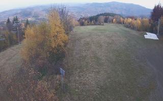 Laskowa - 02-11-2025 13:48