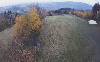 Laskowa - 02-11-2025 14:18