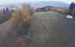 Laskowa - 02-11-2025 14:03