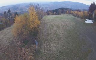 Laskowa - 02-11-2025 14:34