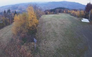 Laskowa - 02-11-2025 14:49